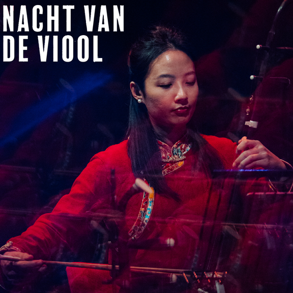 Nacht van de Viool